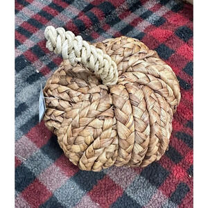 6 FOR $15 New pumpkin decor